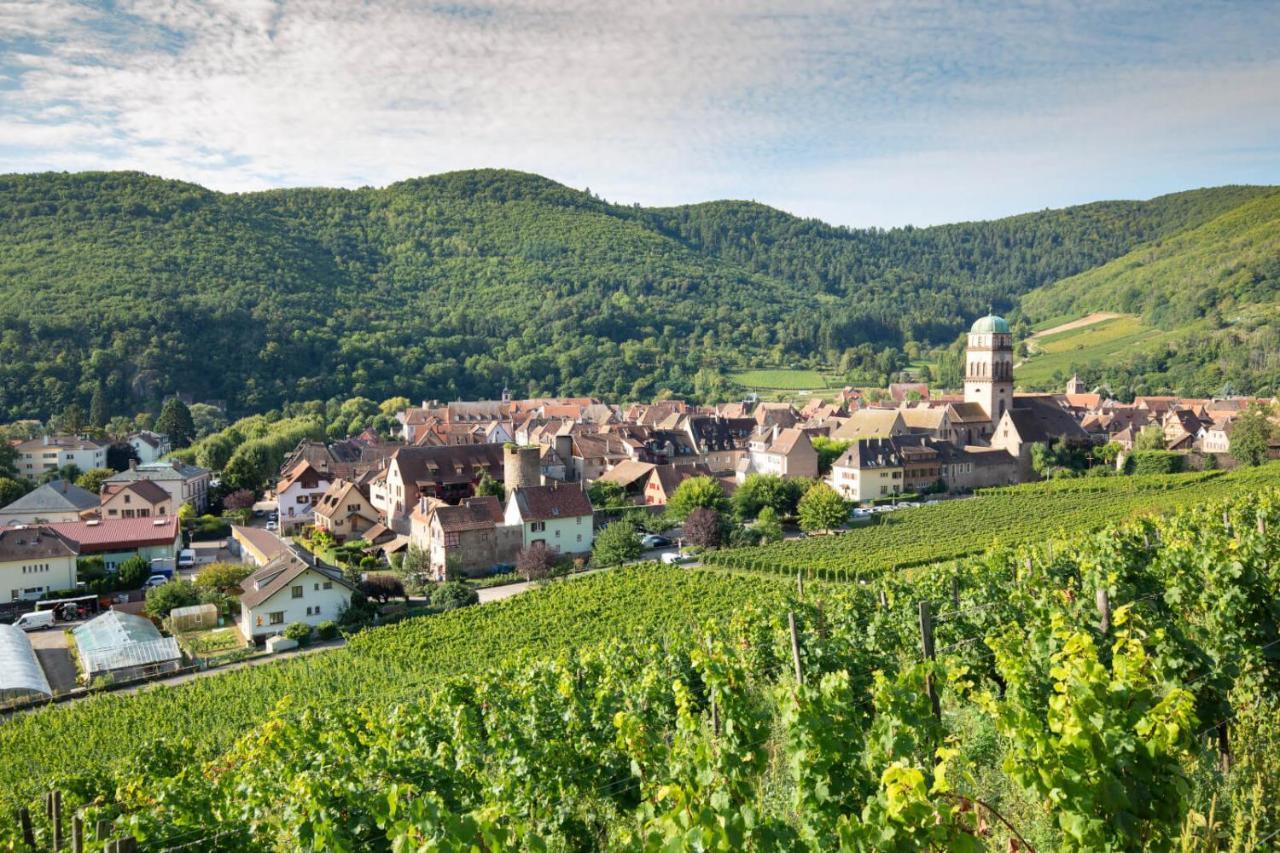 Studio Cosy Avec Balcon Avec Parking Gratuit Proche Centre Sportif Et De La Route Des Vins Alsace Mulhouse Eksteriør billede